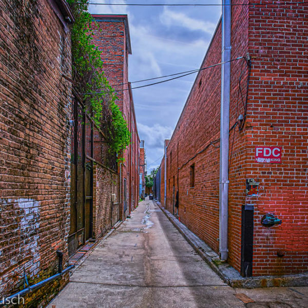 2019 June Meeting  Theme is Alley Ways