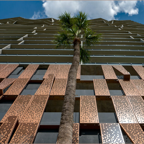 February 2026 Theme is Patterns